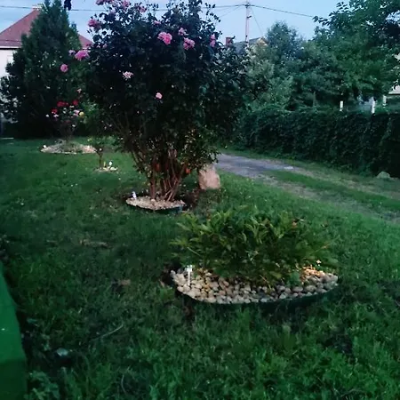 Csucsu Vendeghaz Appartement Mád